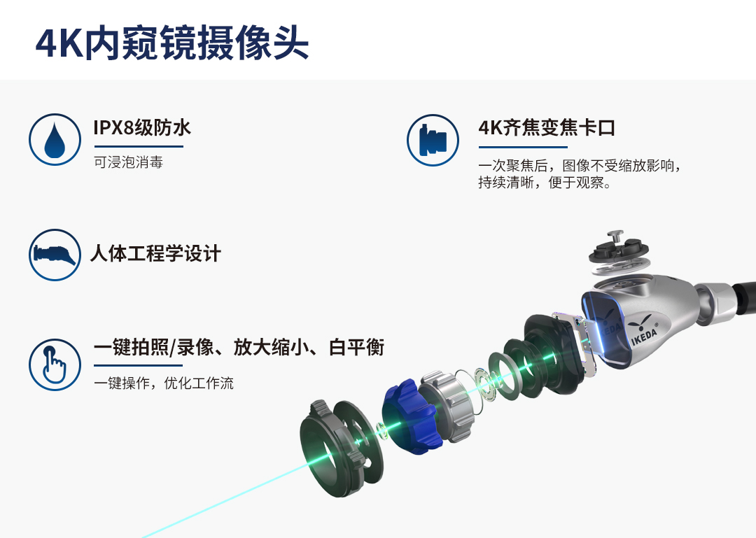 动物腹腔镜解决方案